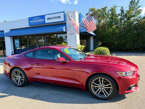 Used 2015 Ford Mustang Premium w/ Equipment Group 201A RWD image 5