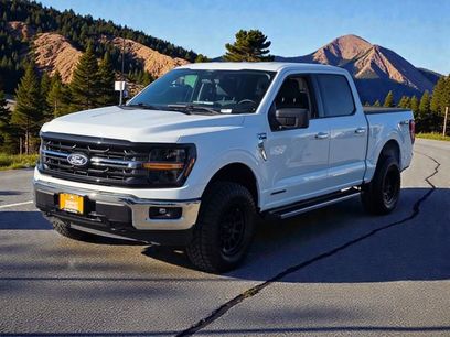Used 2025 Ford F150 XLT w/ Equipment Group 301A Standard
