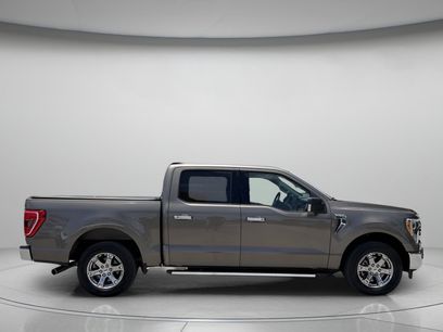 Used 2023 Ford F150 XLT w/ Equipment Group 302A High