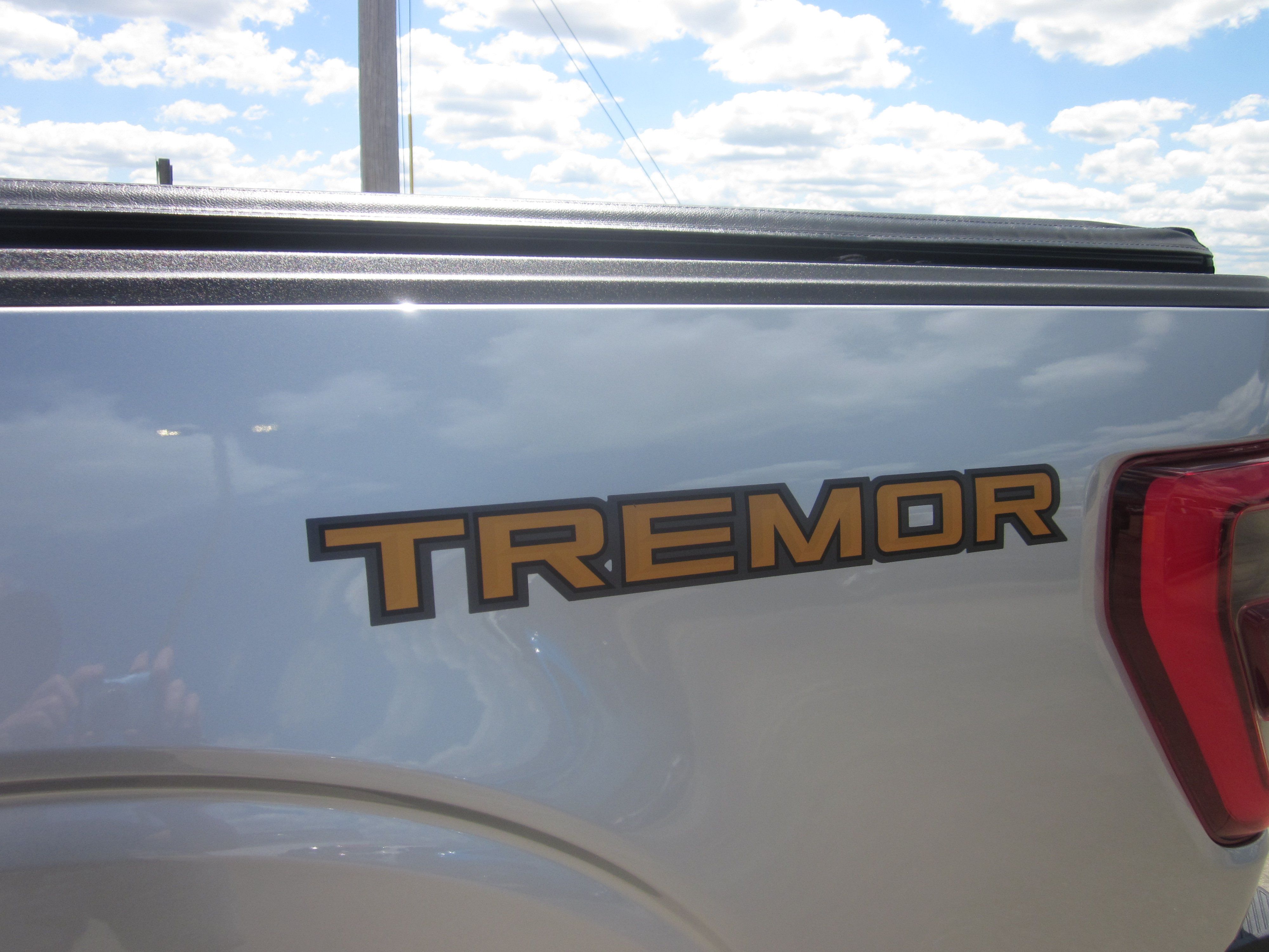 Used 2022 Ford F150 Tremor w/ Equipment Group 402A High AWD/4WD image 8