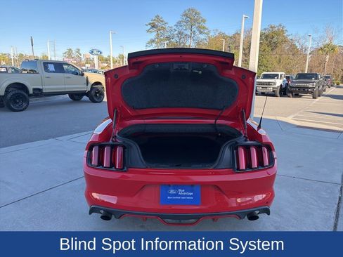 Used 2017 Ford Mustang Premium w/ Equipment Group 201A image 7