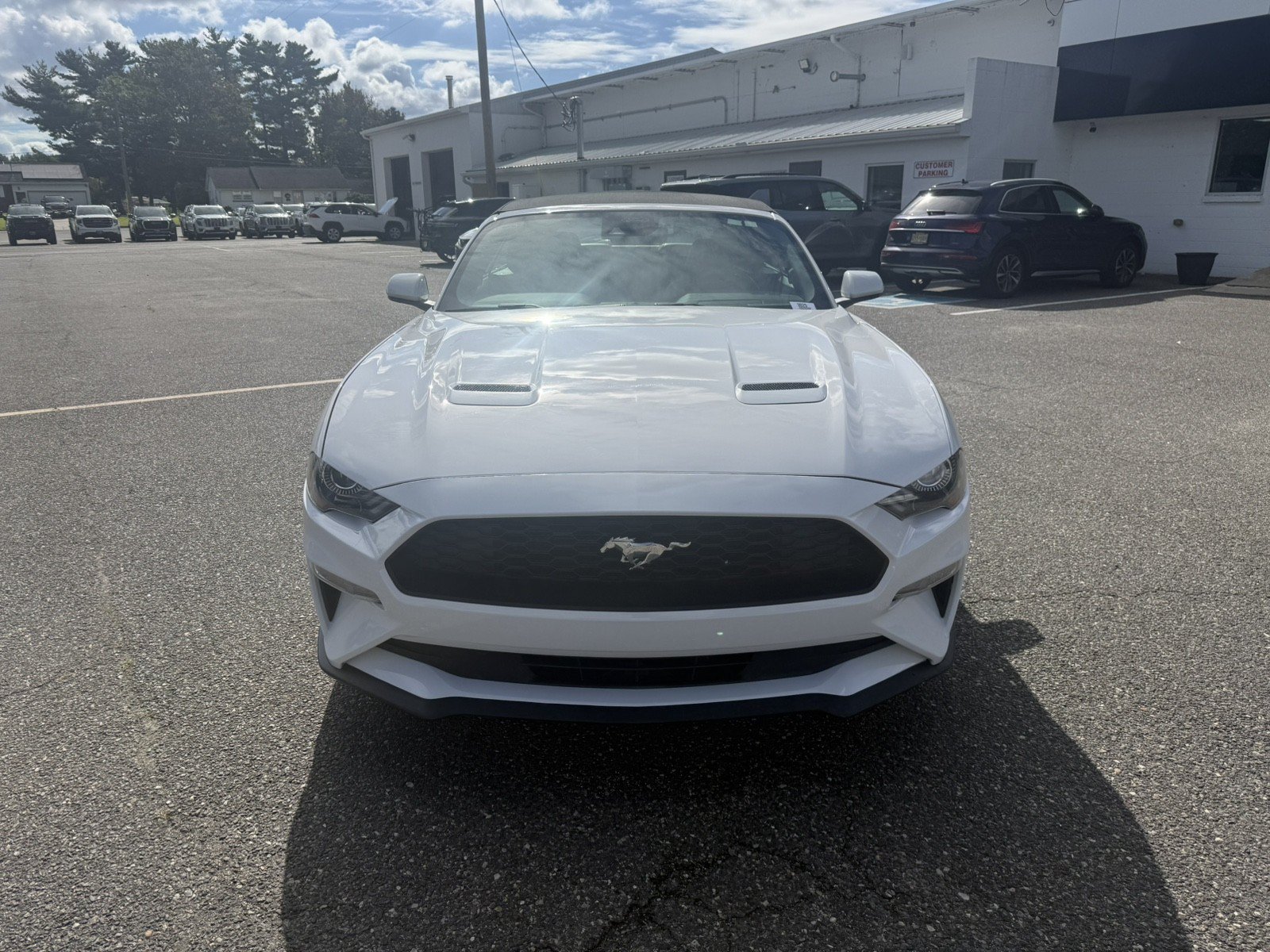 Used 2022 Ford Mustang Premium RWD image 8