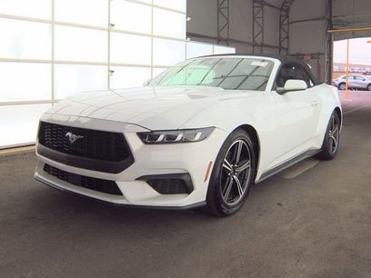 Used 2024 Ford Mustang Premium
