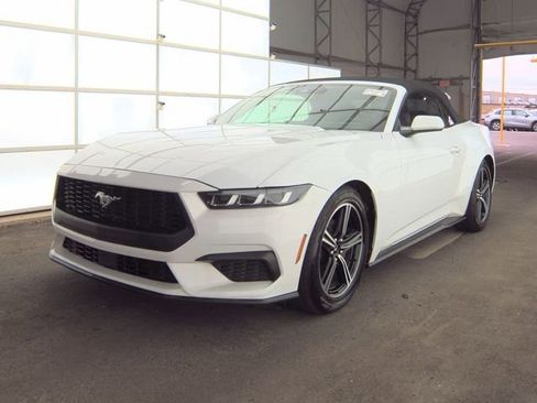 Used 2024 Ford Mustang Premium image 1