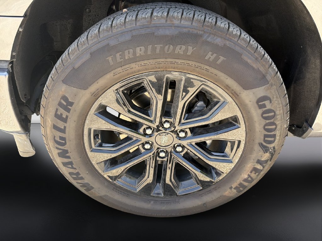 Used 2025 Ford F150 XLT w/ Equipment Group 302A MID RWD image 9