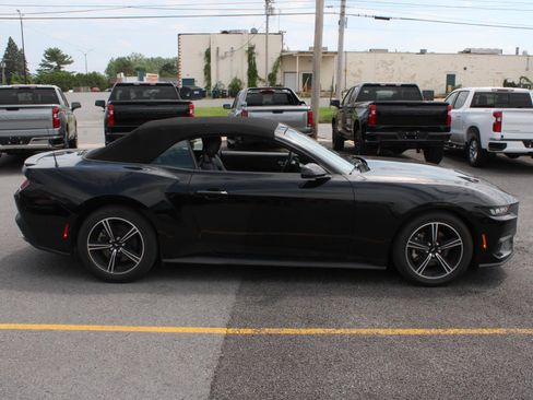 Used 2025 Ford Mustang Premium RWD image 4