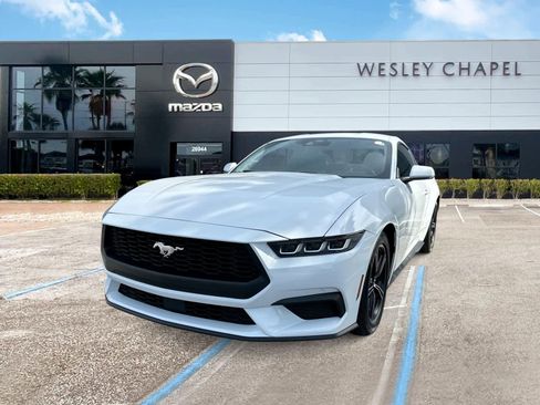 Used 2024 Ford Mustang Coupe RWD image 1