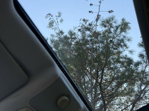 Used 2009 Volkswagen Beetle S image 29