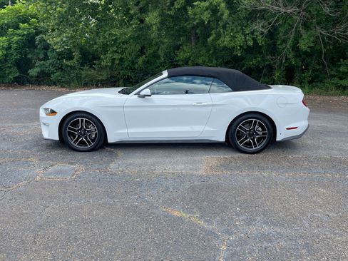 Used 2020 Ford Mustang Premium RWD image 2