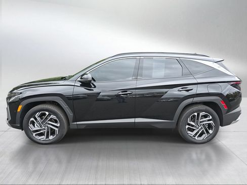 Used 2026 Hyundai Tucson Limited AWD/4WD image 6