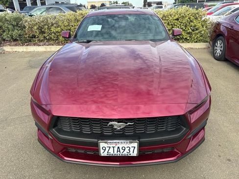 Used 2025 Ford Mustang Premium RWD image 2