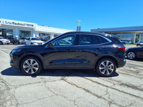 Used 2023 Ford Escape Platinum AWD/4WD image 3