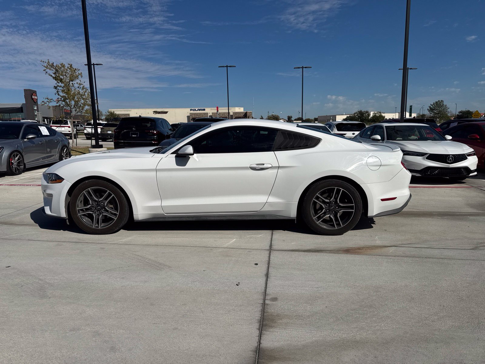 Used 2019 Ford Mustang Coupe w/ Equipment Group 101A RWD image 5