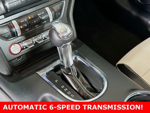 Used 2015 Ford Mustang 50 Years image 19