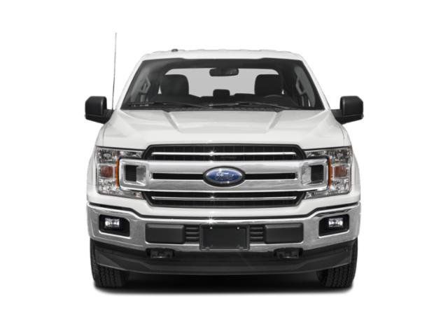 Used 2019 Ford F150 XLT w/ Equipment Group 302A Luxury AWD/4WD image 4