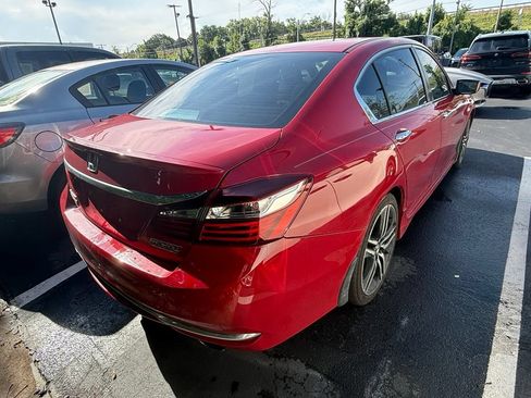 Used 2017 Honda Accord Sport Special Edition image 5