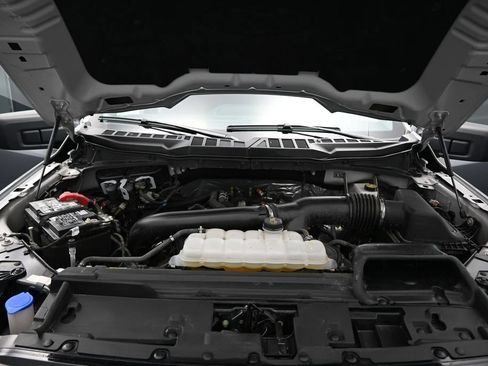 Used 2025 Ford F150 XLT w/ Equipment Group 301A Standard AWD/4WD image 24