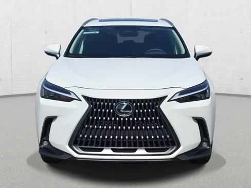 Certified 2024 Lexus NX 350h AWD w/ Cold Area Package image 2