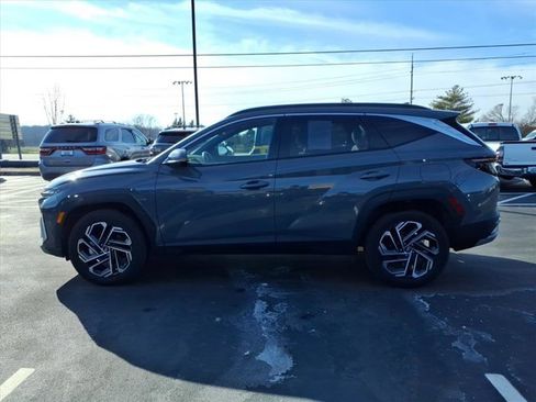 Used 2025 Hyundai Tucson Limited image 4