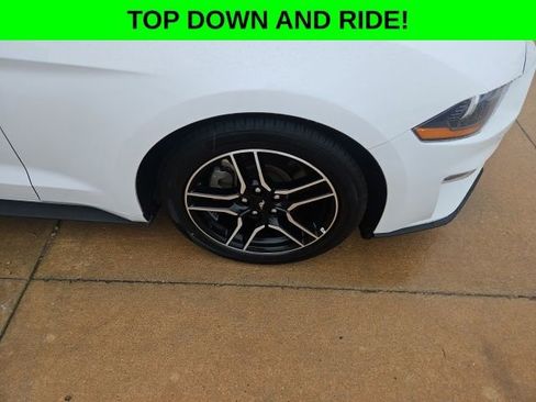 Used 2023 Ford Mustang Premium image 12