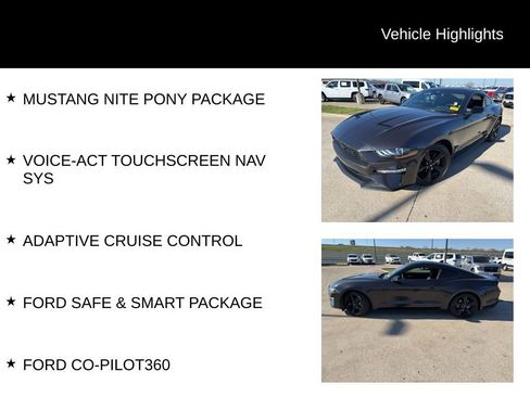 Used 2023 Ford Mustang Premium w/ Equipment Group 201A image 5