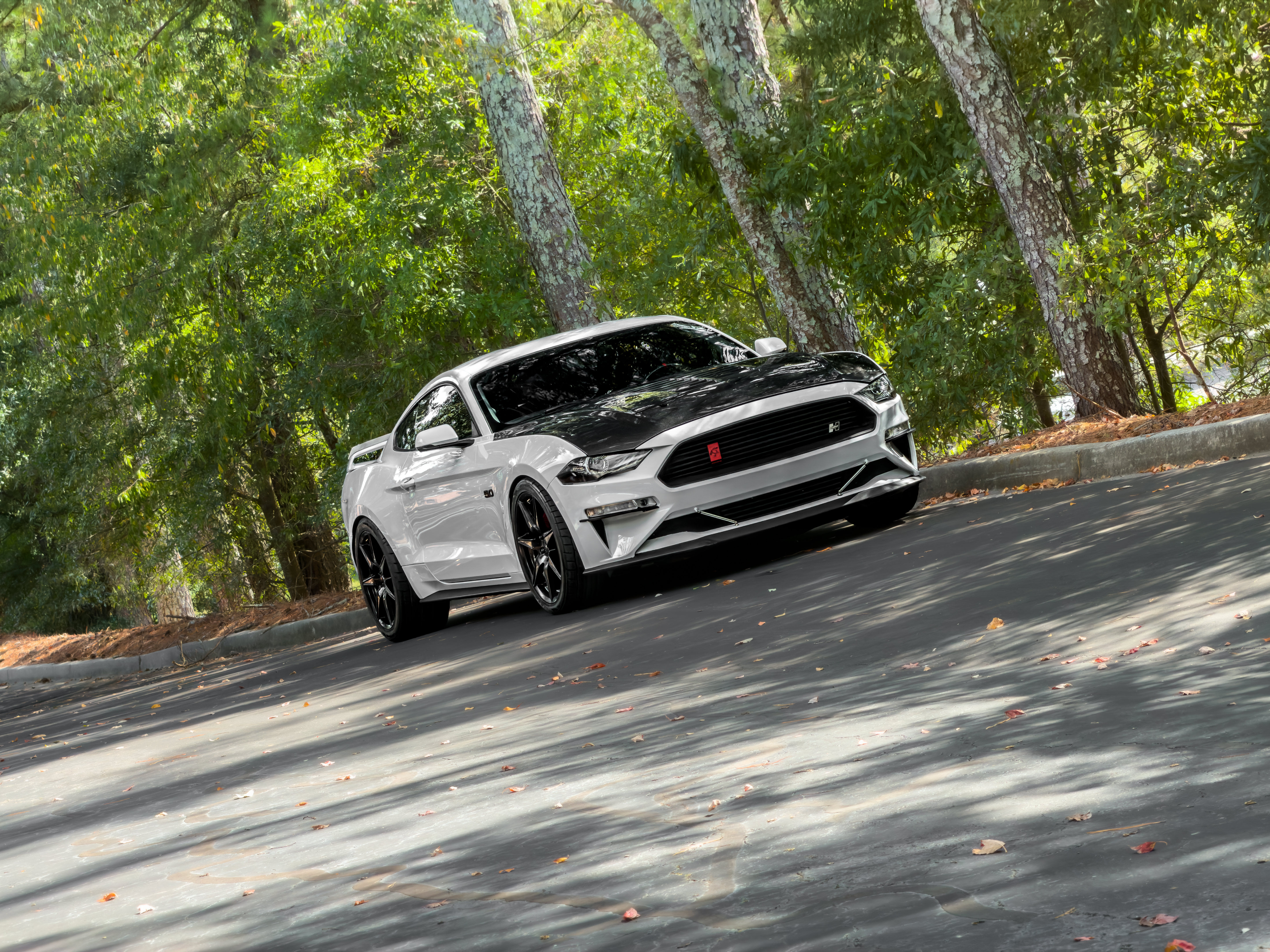 Used 2019 Ford Mustang GT Premium w/ GT Performance Package RWD image 43