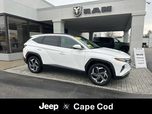 Used 2023 Hyundai Tucson Limited image 1