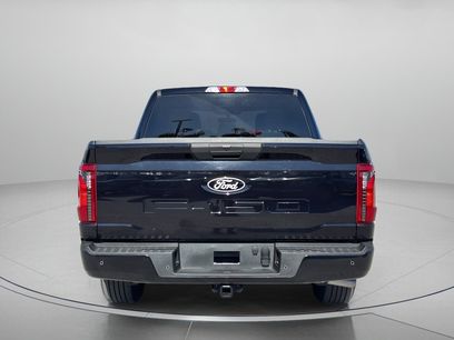 Used 2025 Ford F150 XLT w/ Equipment Group 301A Standard