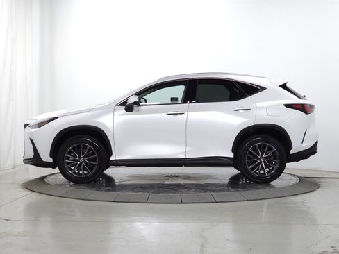 Used 2024 Lexus NX 350 AWD w/ Cold Area Package image 5