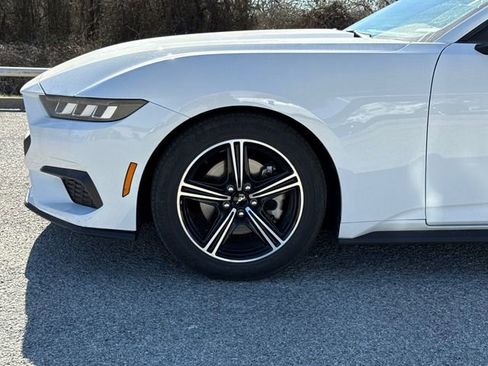 Used 2024 Ford Mustang Premium image 5