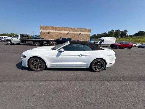 Used 2022 Ford Mustang Premium RWD image 4