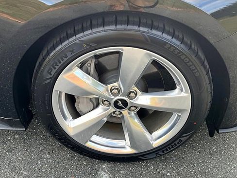 Used 2019 Ford Mustang GT Premium w/ Equipment Group 401A image 8