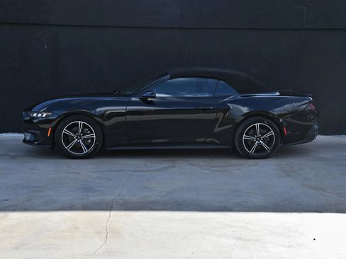 Used 2025 Ford Mustang Premium image 7