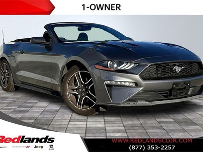 Used 2022 Ford Mustang EcoBoost w/ Equipment Group 101A