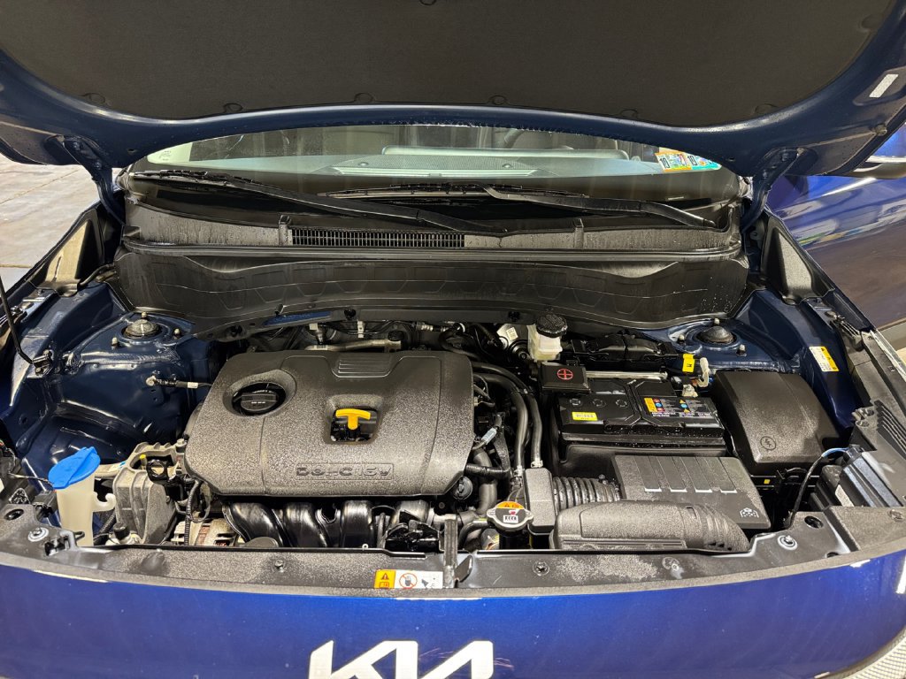 Certified 2025 Kia Seltos EX AWD/4WD image 27