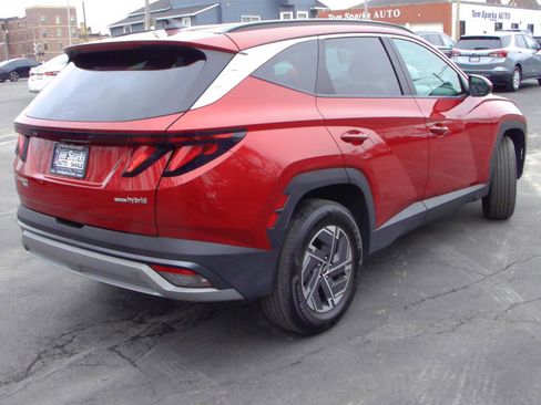 Used 2025 Hyundai Tucson Blue AWD/4WD image 2