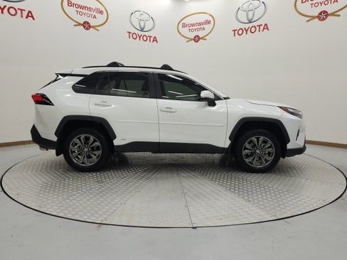 Certified 2024 Toyota RAV4 XLE Premium image 3