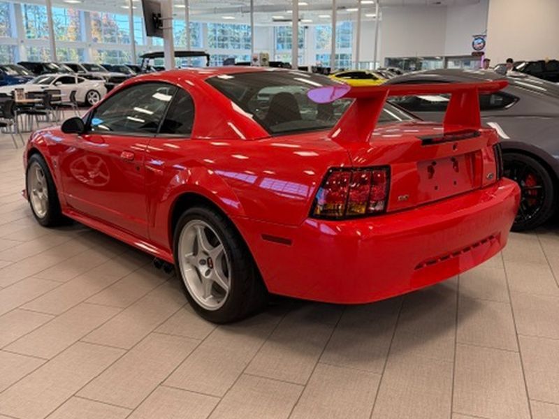 Used 2000 Ford Mustang Cobra RWD image 6