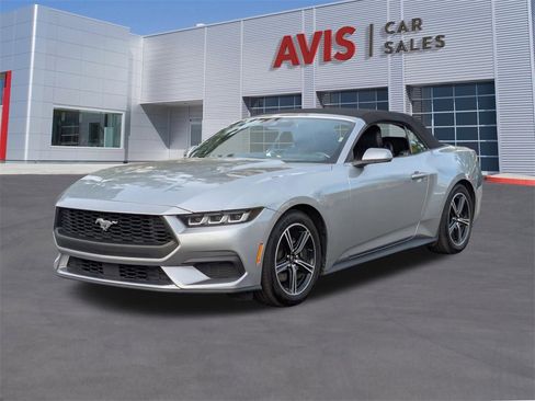 Used 2024 Ford Mustang Premium image 1