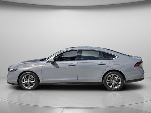 Certified 2025 Honda Accord EX-L image 4