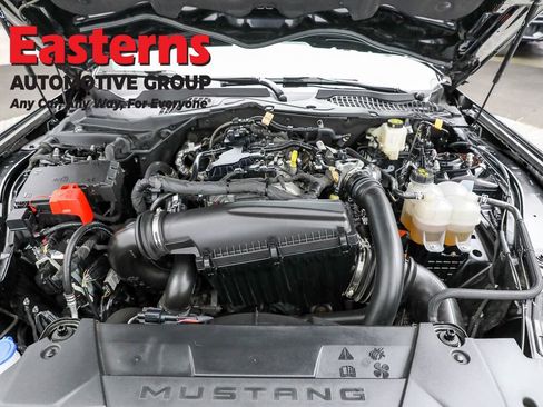 Used 2024 Ford Mustang Premium image 7