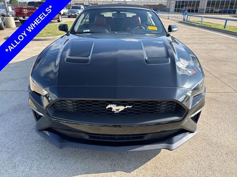 Used 2019 Ford Mustang Premium RWD image 2