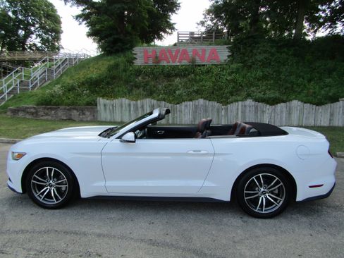 Used 2016 Ford Mustang Premium RWD image 10