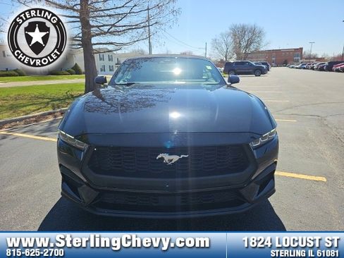 Used 2024 Ford Mustang Premium image 2
