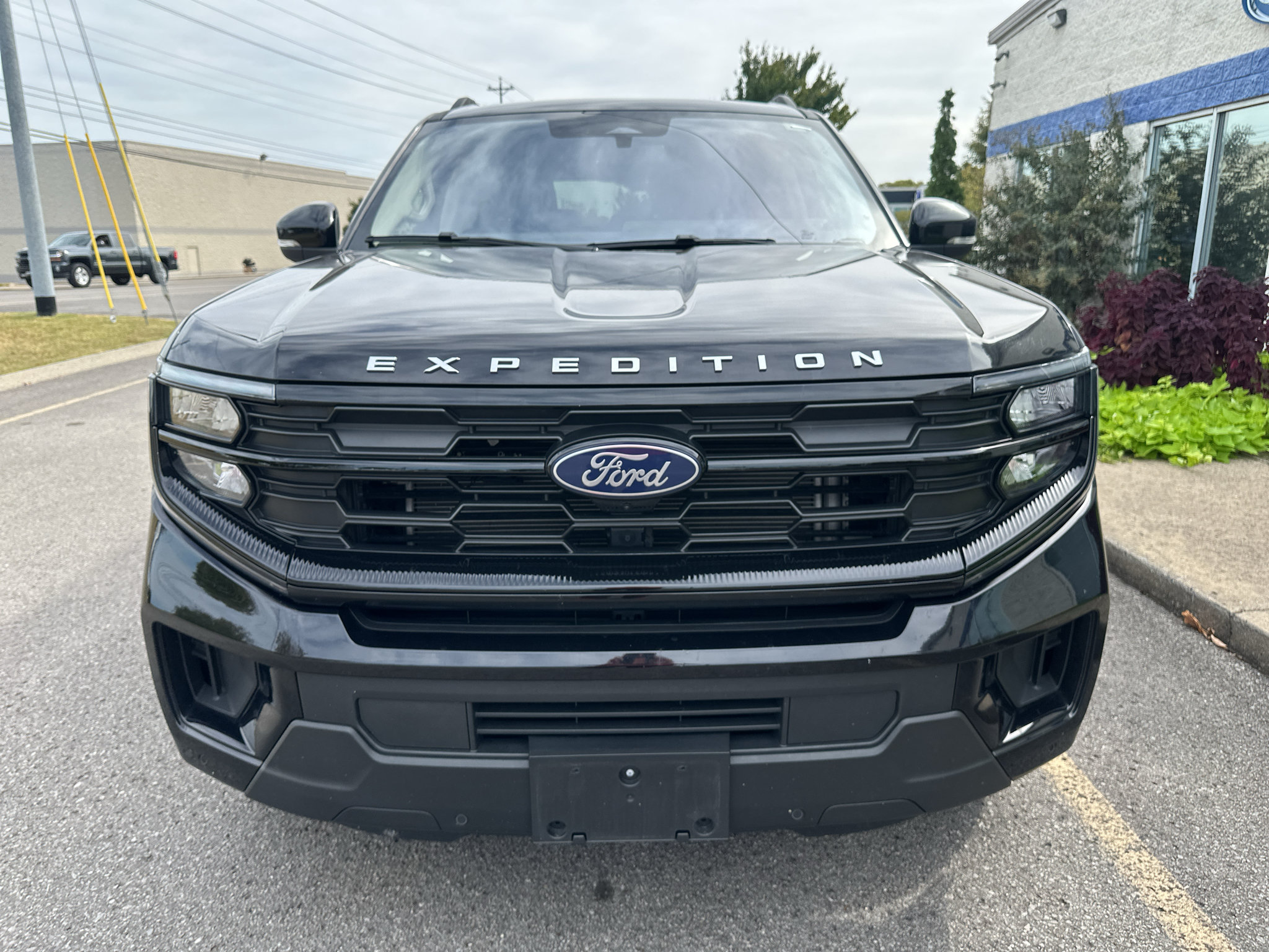 Used 2025 Ford Expedition Active AWD/4WD image 9
