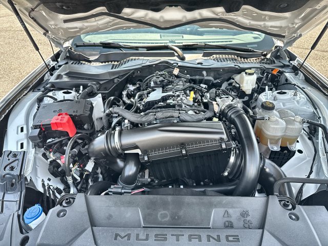 Used 2026 Ford Mustang Premium RWD image 24