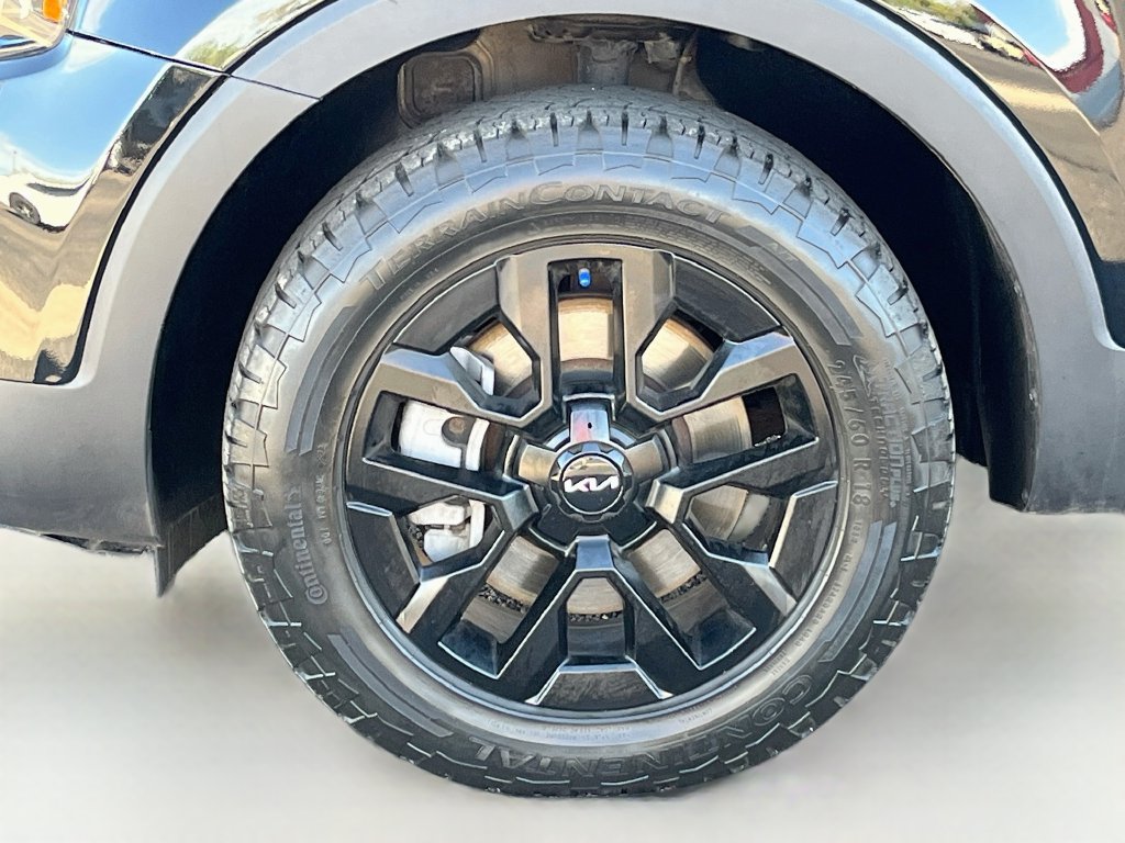 Used 2023 Kia Telluride SX Prestige X-Pro AWD/4WD image 34
