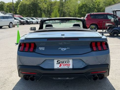 Used 2025 Ford Mustang Premium RWD image 6
