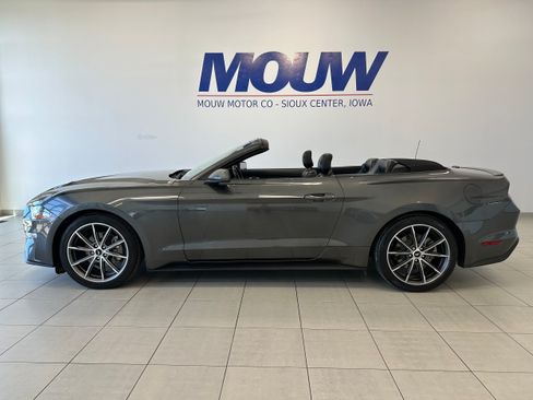 Used 2019 Ford Mustang Premium w/ Equipment Group 201A RWD image 9