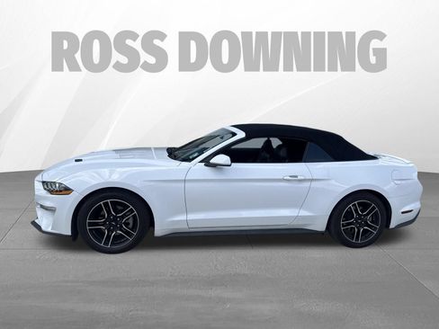 Used 2022 Ford Mustang Premium RWD image 2
